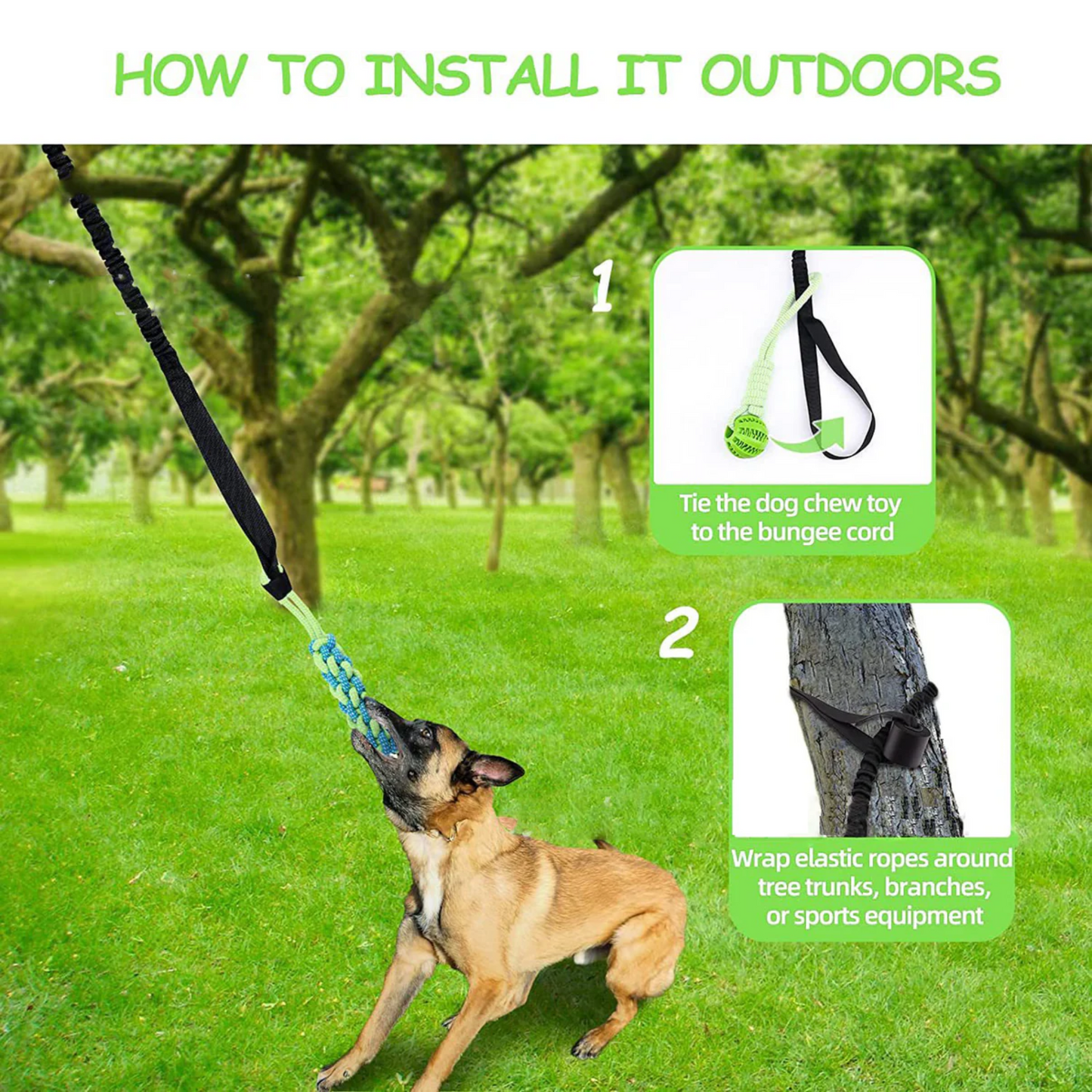 PowerPaw