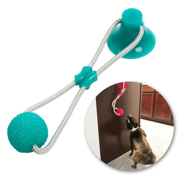 PawPal