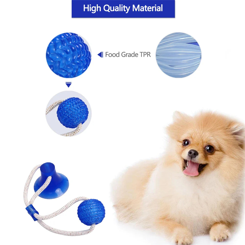 PawPal