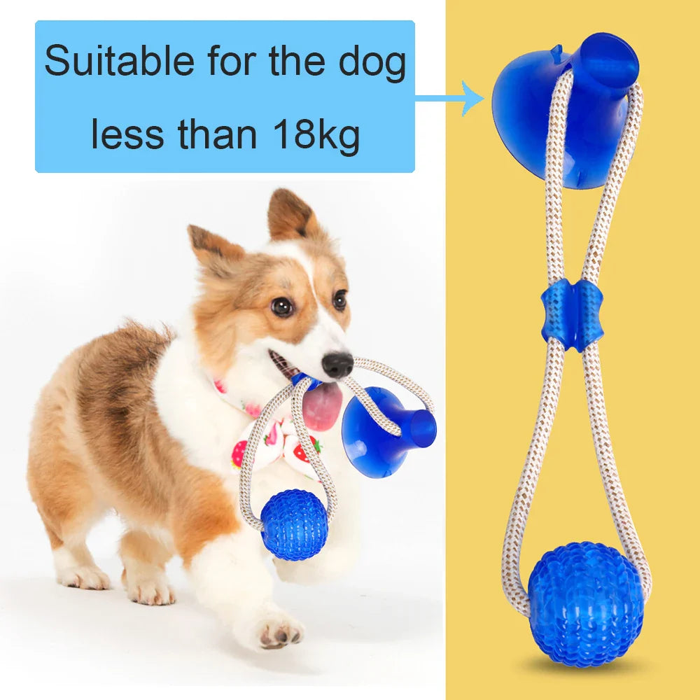 PawPal